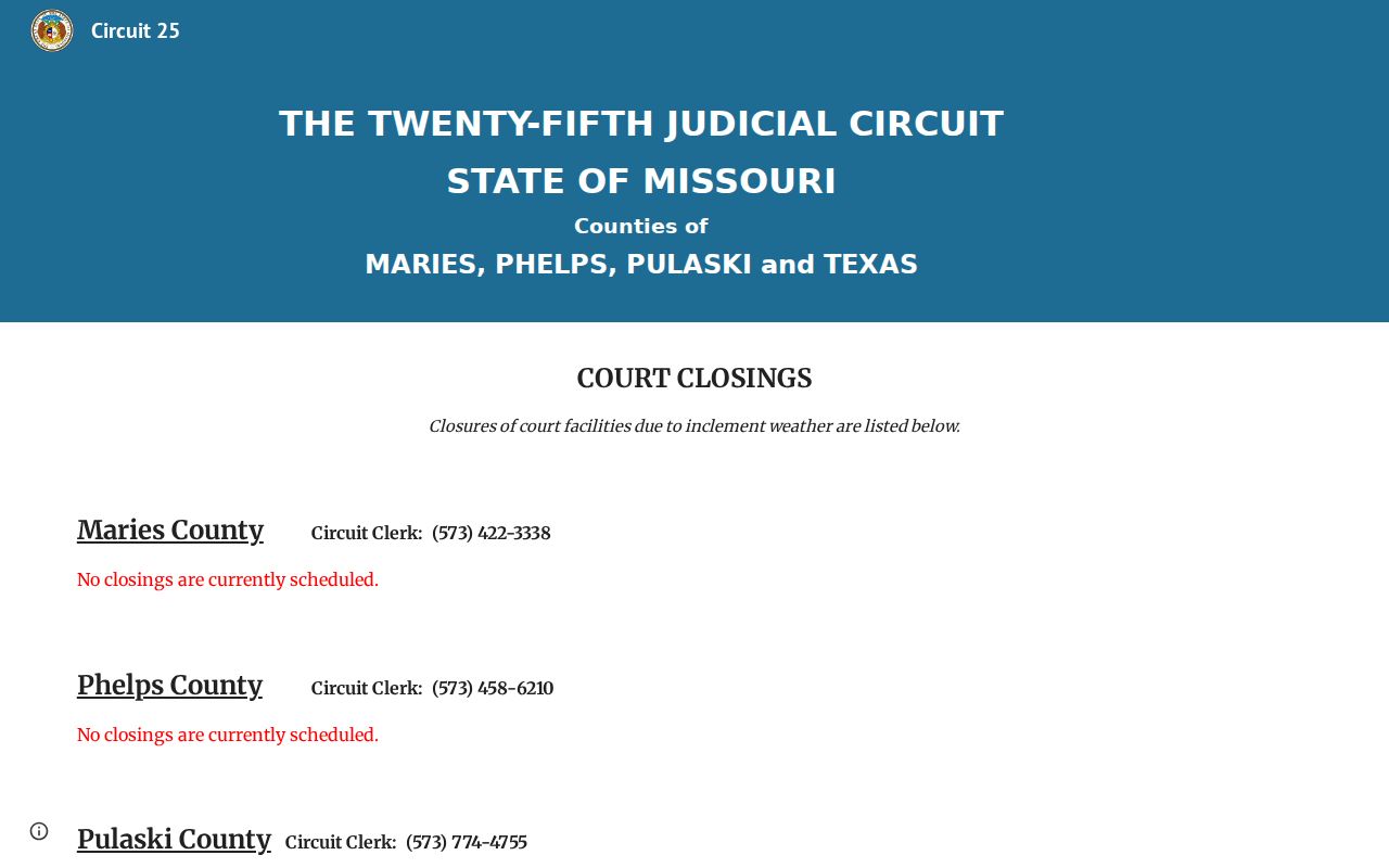 Pulaski court calendar 25th Circuit notices and closings source